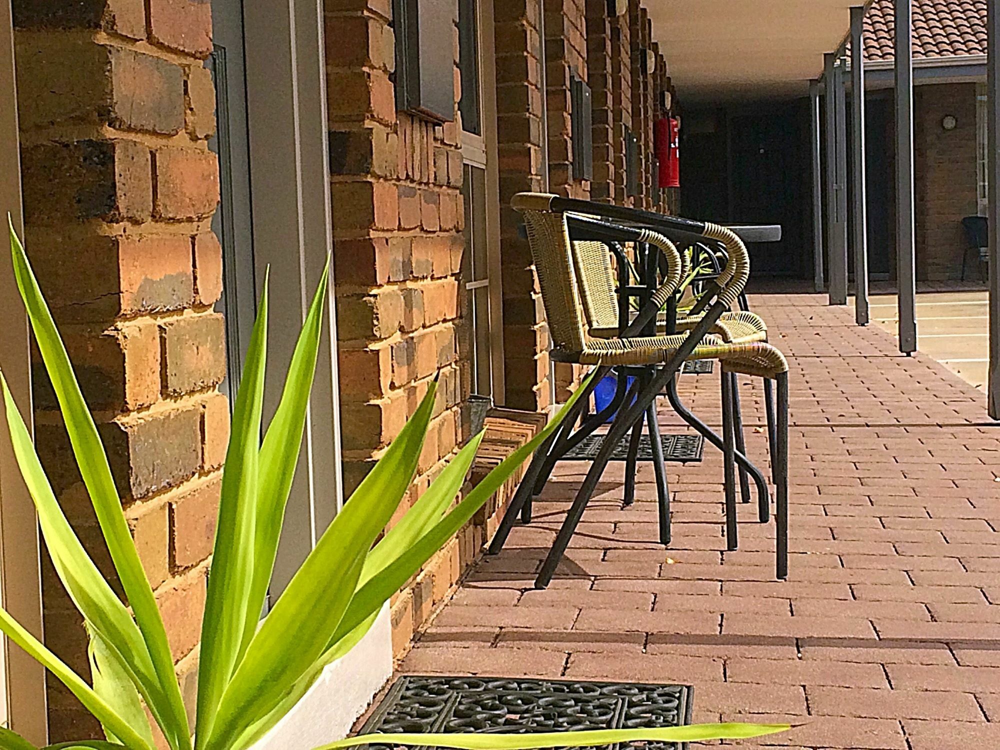 Pevensey Motor Lodge Echuca Exteriér fotografie